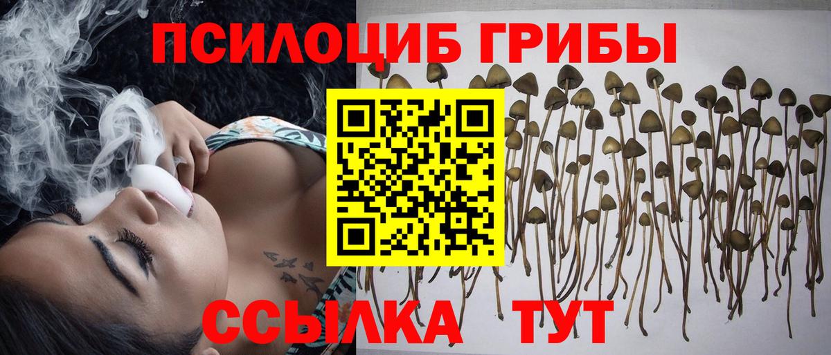 Галлюциногенные грибы GOLDEN TEACHER Магнитогорск